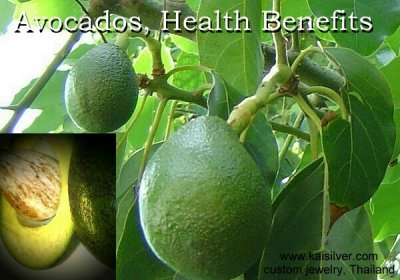 Kaisilver Reports On Avocados, The Health Benefits Of An Avocado