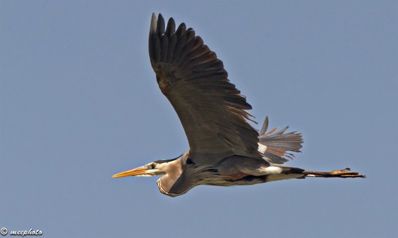 In Flight