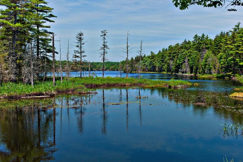 Pretty Marsh