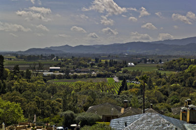 Napa Valley