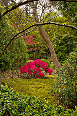 japanese_garden