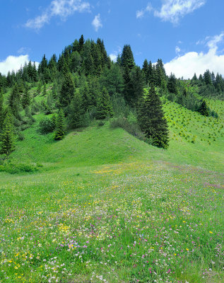 Paesaggio