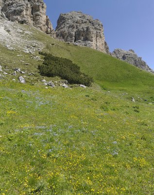 Paesaggio
