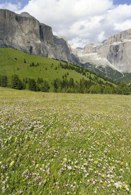 Val Lasties