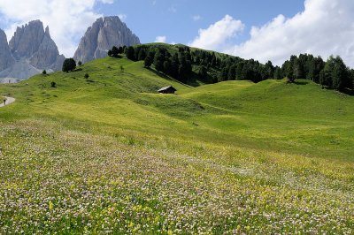 Sassolungo