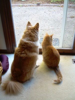 Best Friends