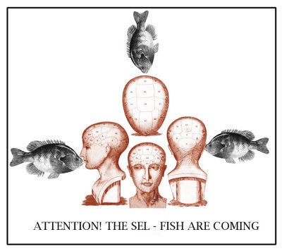 the sel fish.jpg