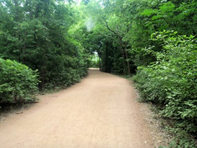 town_lake_running_trail