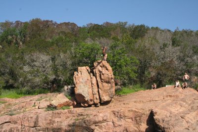 149.JPG