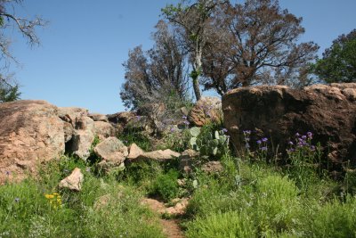 189.JPG