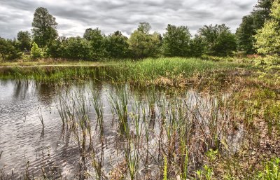 hdr_from_mentone