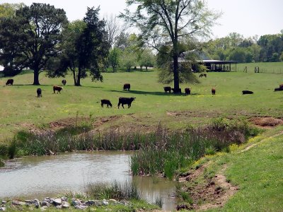 Farm in Ashland Al