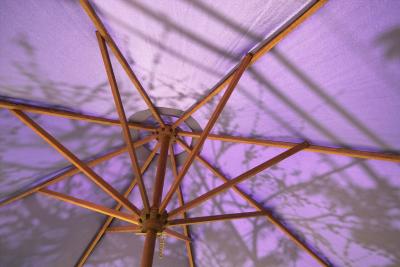 UmbrellaFramework-IMG18517.jpg
