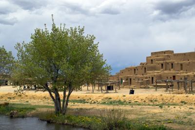 Pueblo And Tree
