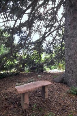 Tree Bench