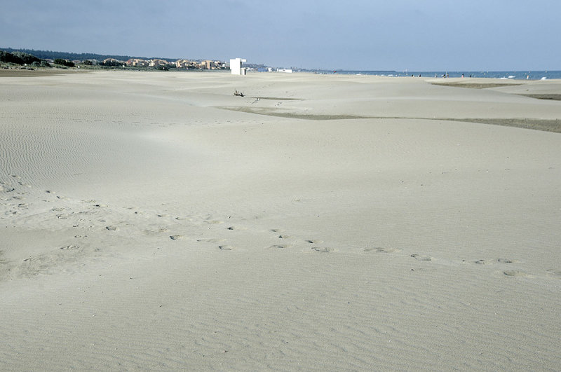 Narbonne - Plage