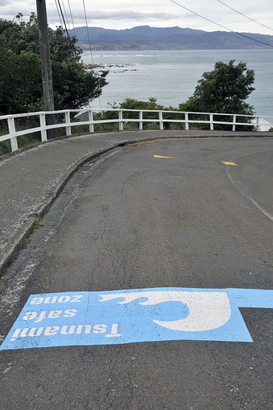 Tsunami Warning, Island Bay, Wellington