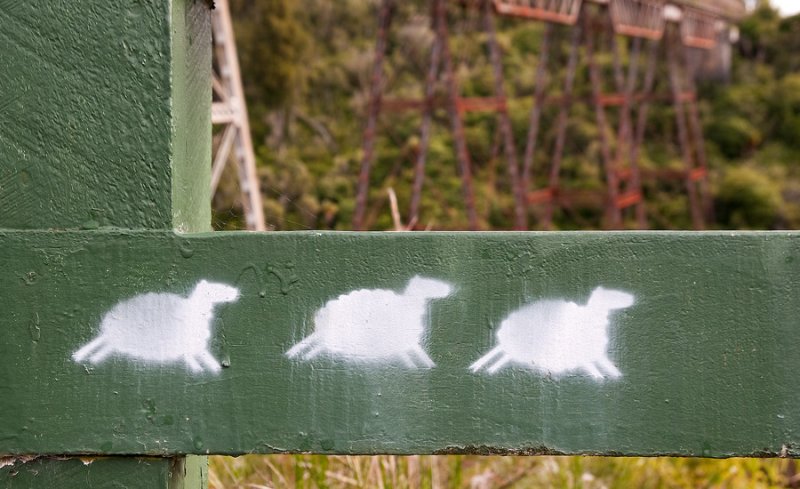 Painted Sheep on a Fence
