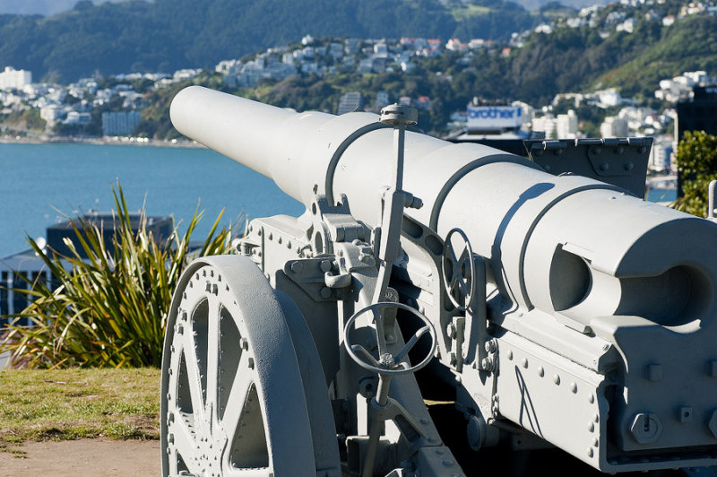 8 August 2011 - Krupp Gun overlooking Wellington