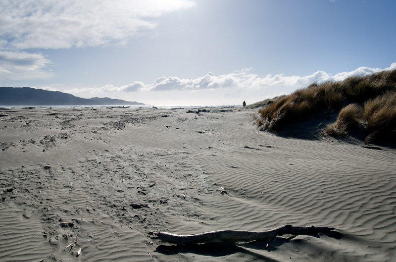 Waikanae Beach near River mouth