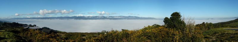 Fog Over Harbour