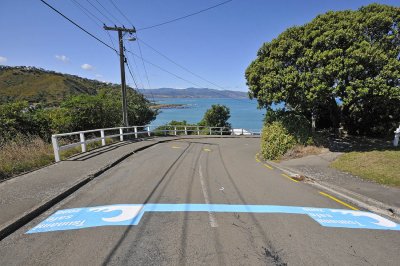 Tsunami Safe Zone - lines painted on Island Bay Streets indicating the safe zone