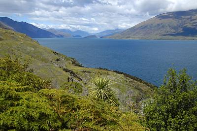 g4/19/247019/3/59237643.DSC_7581_800wanaka2.jpg