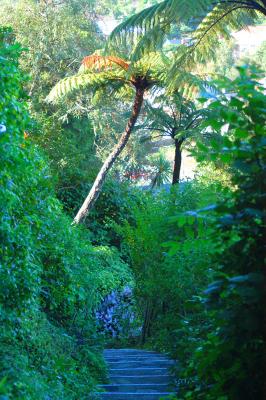 8 May 06 - Down the Garden Path