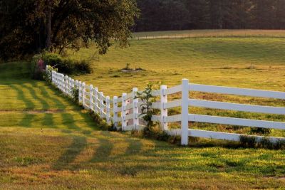 Fence in the Late Afternoon