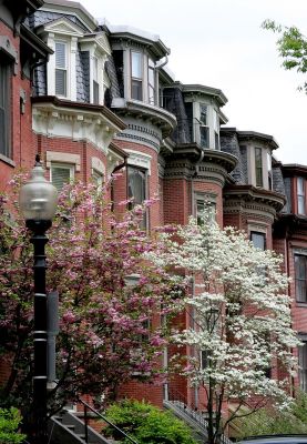 Spring in the South End - Vertical