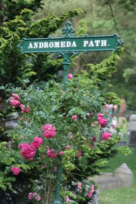 Andromeda Path
