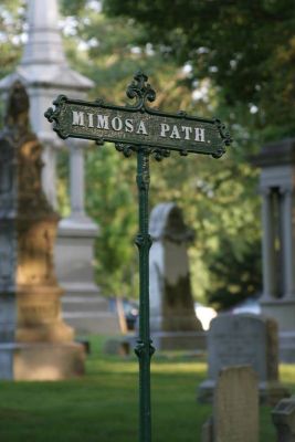 I'd like to rest eternally on Mimosa Path