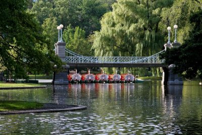 The Public Garden Bridge and Swanboats