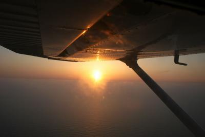 IMG_8815.jpg