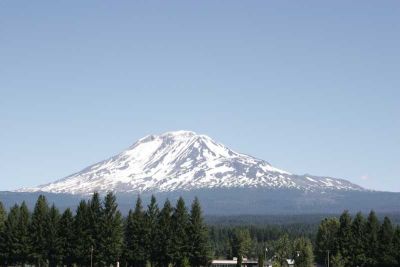 _MG_2305.jpg