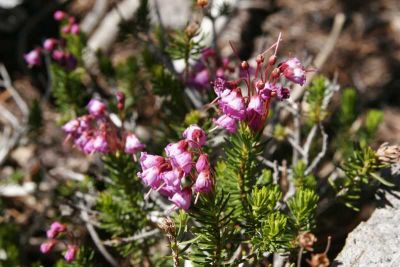 _MG_2325.jpg