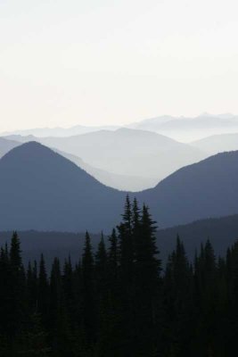 _MG_2578.jpg