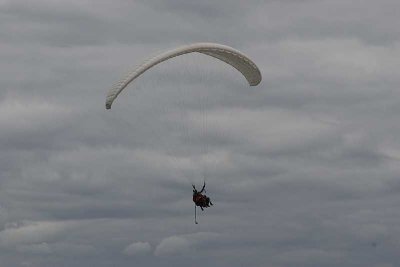 _MG_2805.jpg