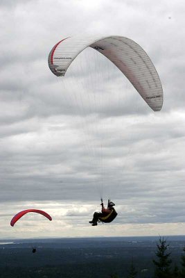 _MG_2824.jpg