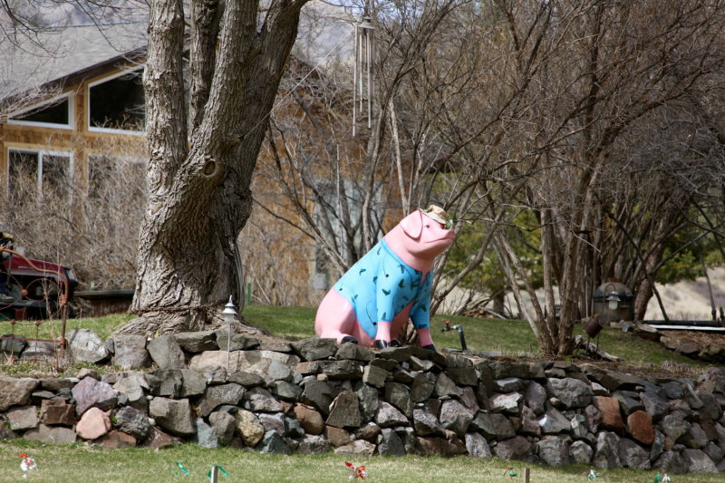 Things Seen Along the Banks of the Missouri