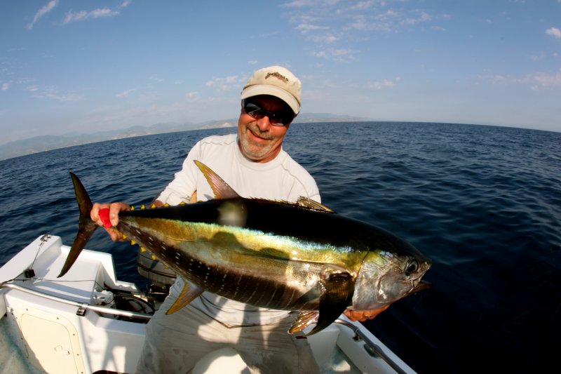 Yellowfin Tuna