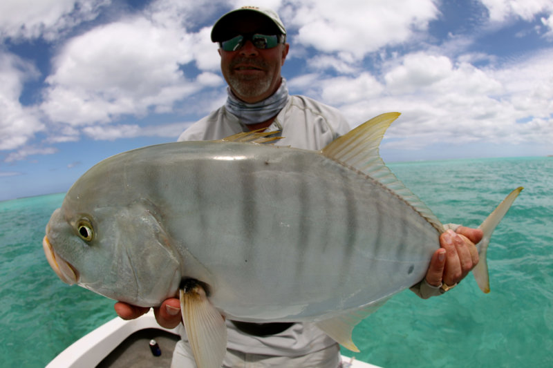 Golden Trevally