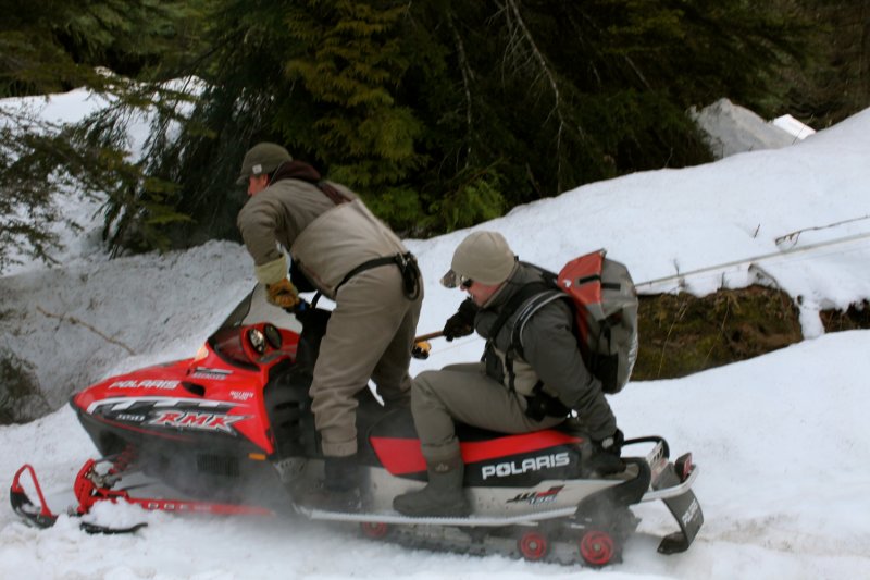 Sledding