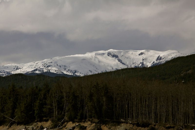 Local Peaks