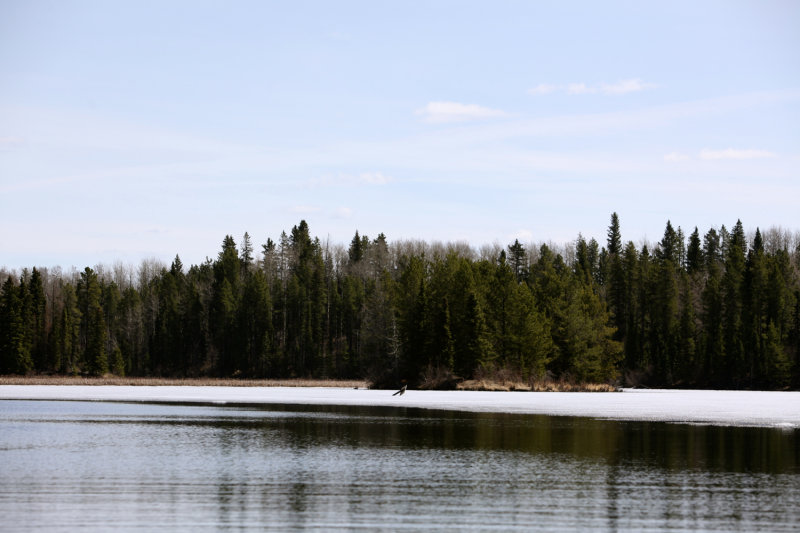 Beaver Lake