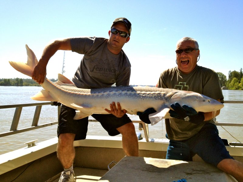 Ryan, Bruce and Sturgeon