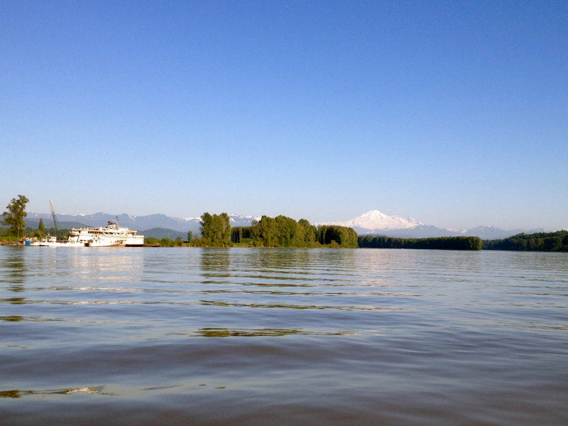 View of Mt. Baker from the Fraser