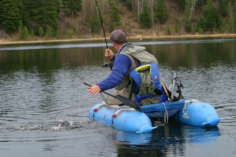 Fish brought to hand