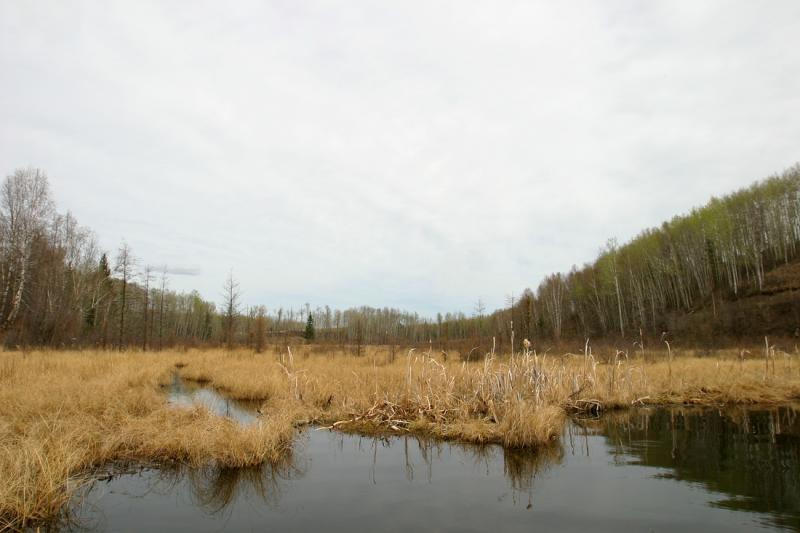 Ironside Pond