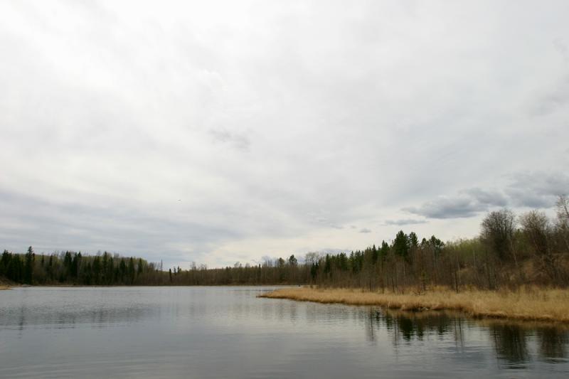 Ironside Pond